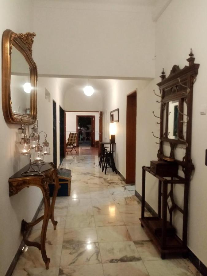 Alentejo Cante & Vinho Феррейра-ду-Алентежу Экстерьер фото